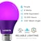 Luxrite A19 LED Light Bulbs 8W (60W Equivalent) Purple Colored Bulbs Non-Dimmable E26 Base 3-Pack LR21494-3PK - alternate 3